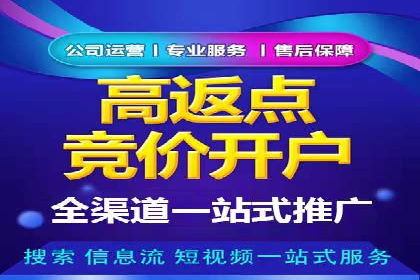 深度解析：竞价推广公司经典案例